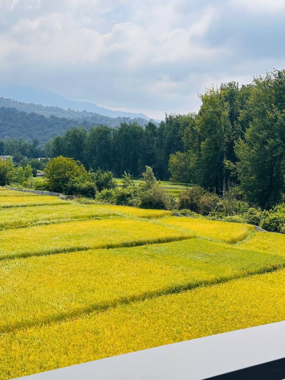 ویلای-تریبلکس-مدرن-چمستان-۴-خواب-مستر-استخر